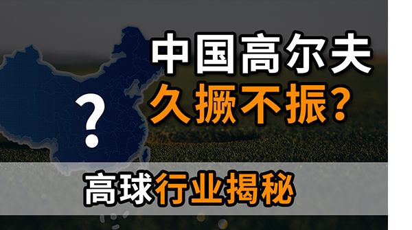 菜鸟资讯
