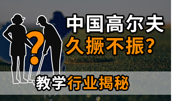 菜鸟资讯