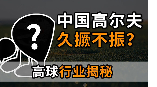 菜鸟资讯